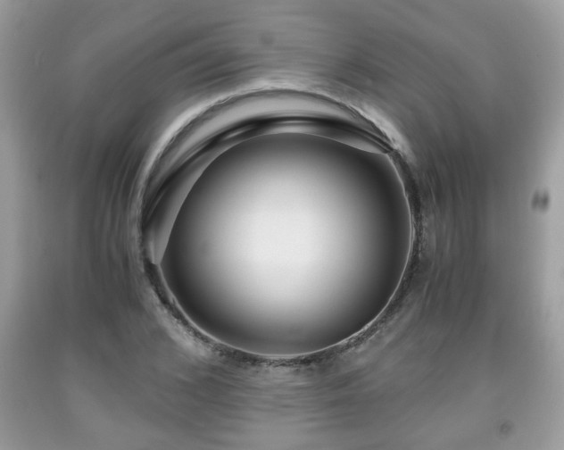 X0000091960976200709131223