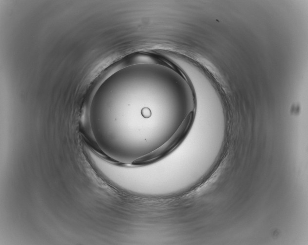 X0000091960977200709131223