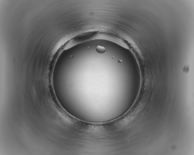 X0000091960978200709131223