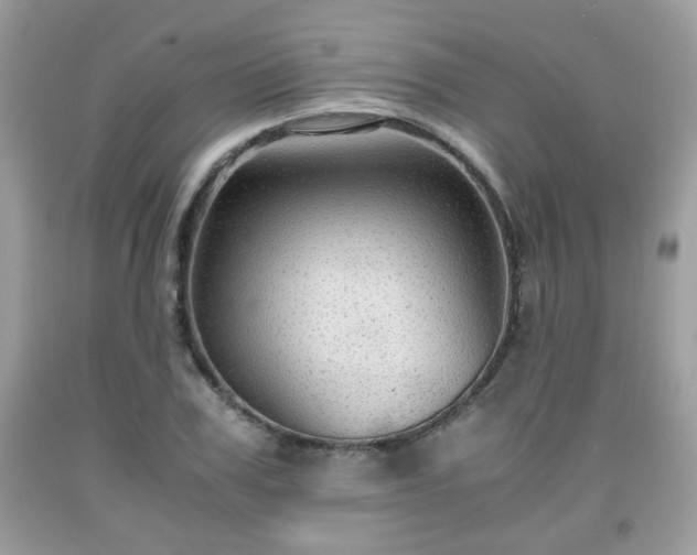 X0000091960979200709131223