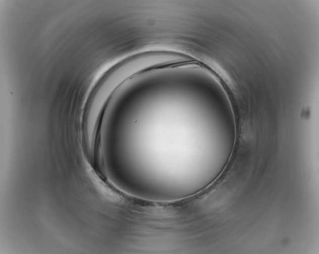 X0000091960980200709131223