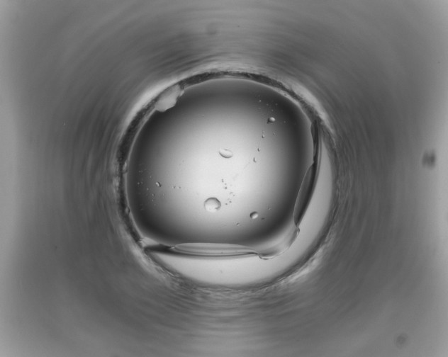 X0000091960981200709131223