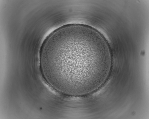 X0000091960982200709131223