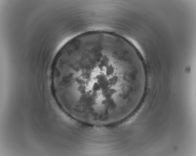 X0000091960983200709131223