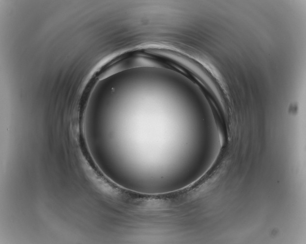 X0000091960984200709131223