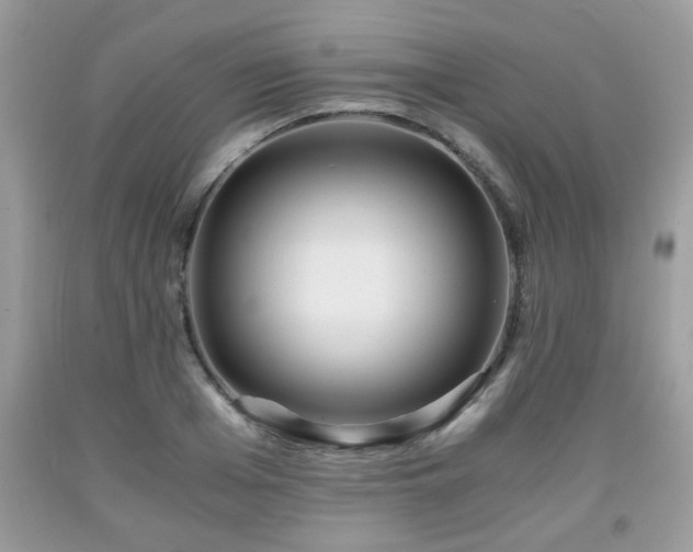 X0000091960985200709131223