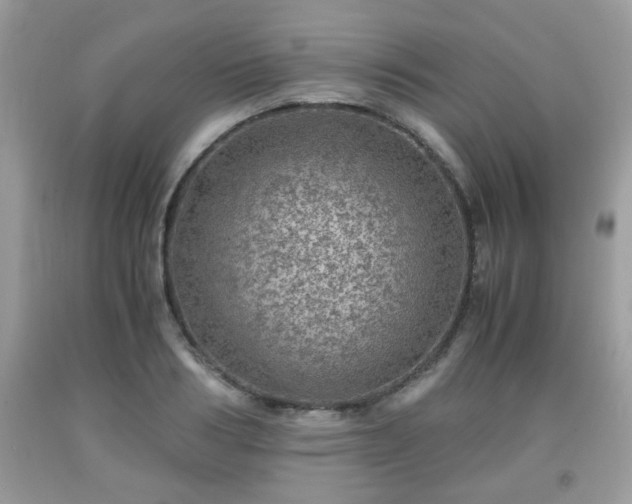 X0000091960986200709131223