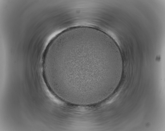 X0000091960987200709131223