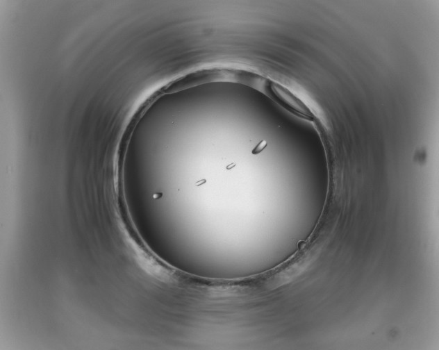 X0000091960988200709131223