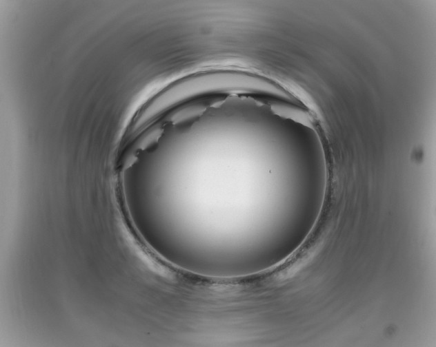 X0000091960989200709131223