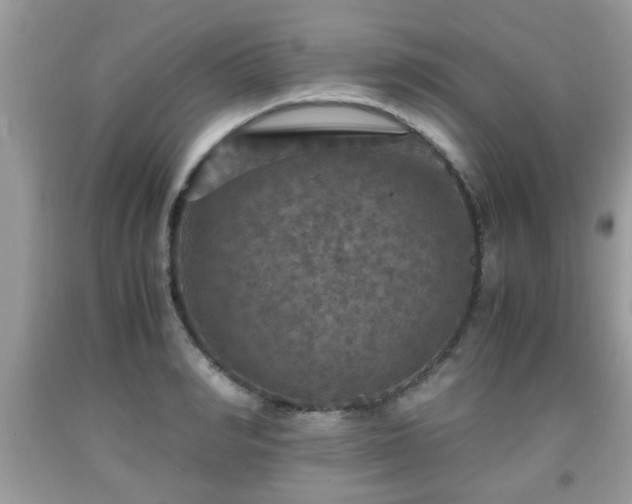 X0000091960990200709131223