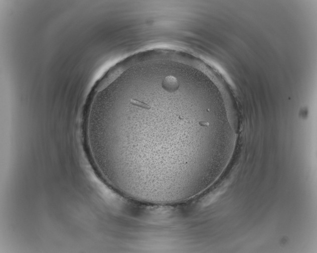 X0000091960991200709131223