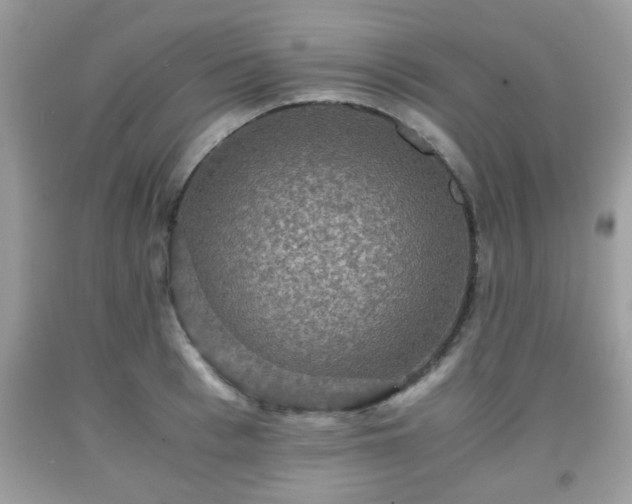 X0000091960993200709131223