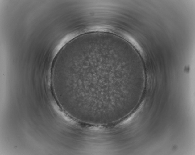 X0000091960994200709131223