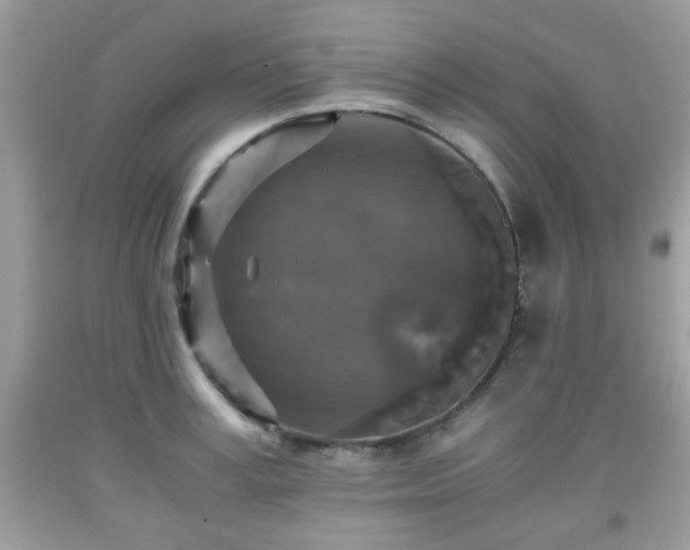 X0000091960995200709131223