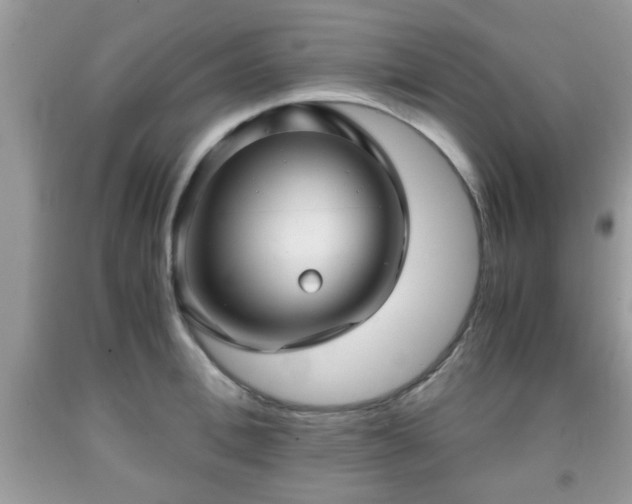 X0000091960996200709131223