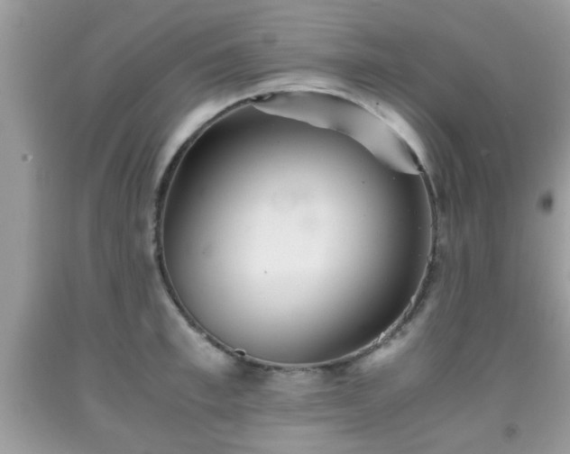 X0000091960997200709131223