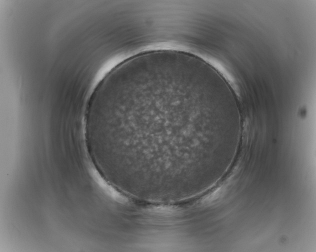 X0000091960998200709131223