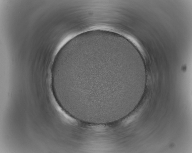 X0000091960999200709131223