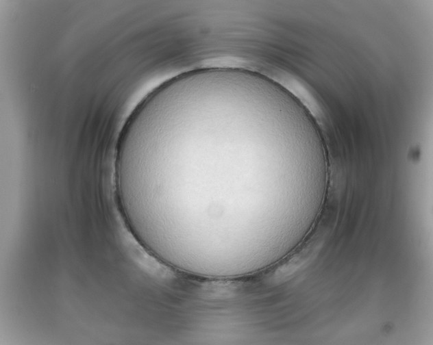 X0000091961000200709131223