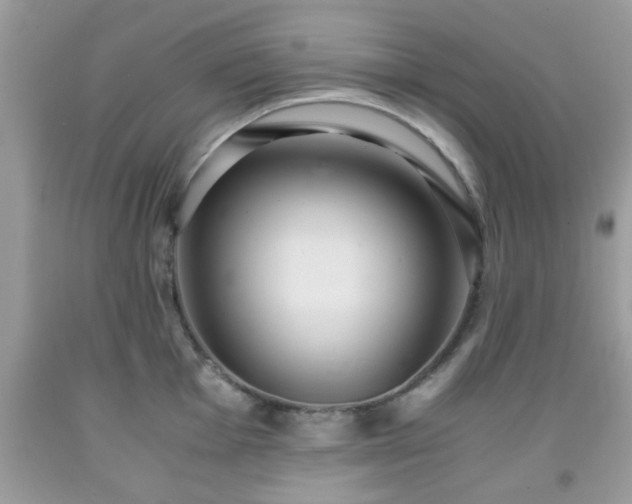 X0000091961001200709131223