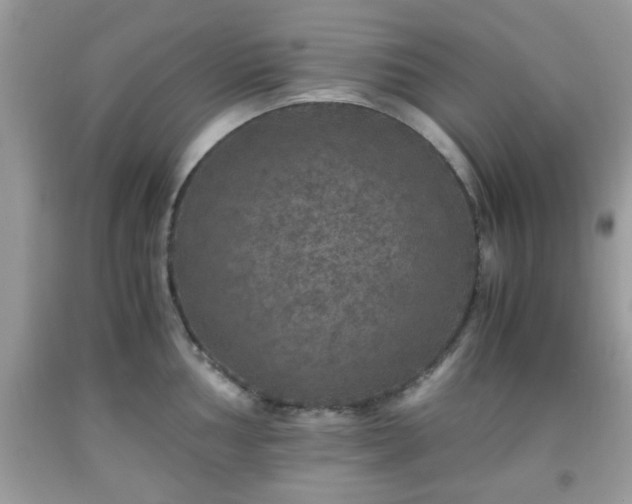 X0000091961002200709131223