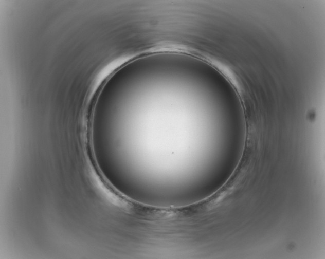 X0000091961003200709131223