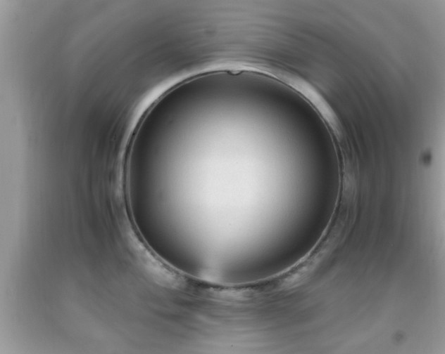 X0000091961004200709131223