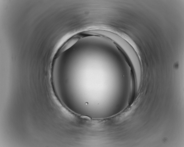 X0000091961005200709131223