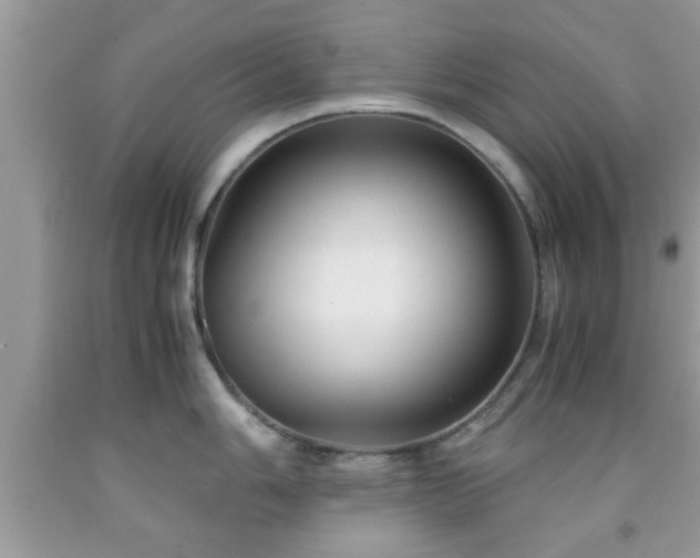 X0000091961006200709131223