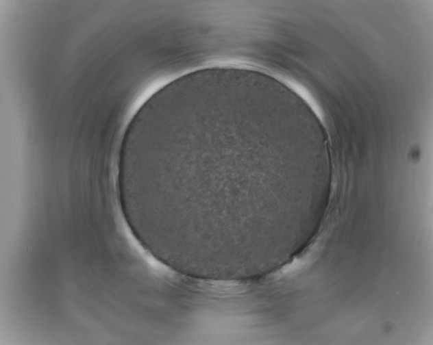 X0000091961007200709131223