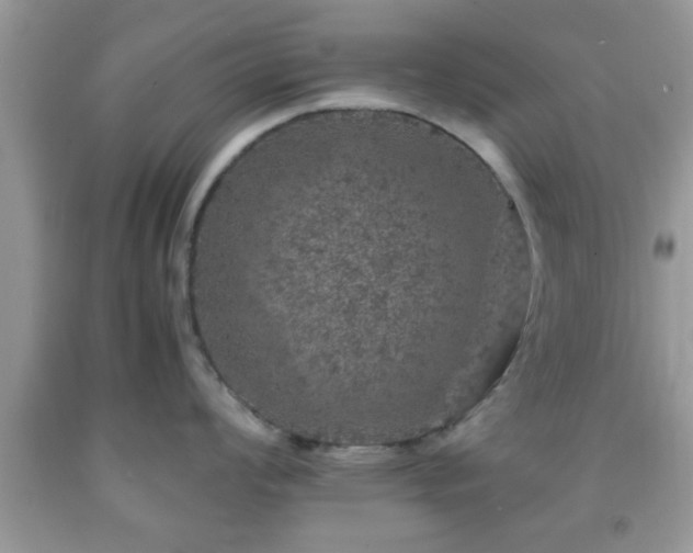 X0000091961008200709131223