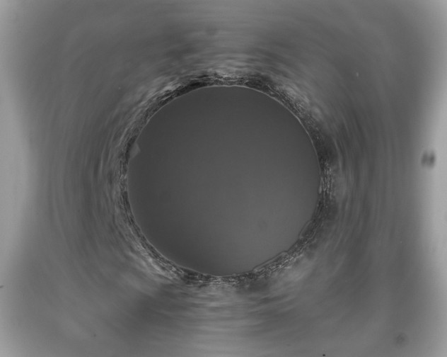 X0000091961009200709131222