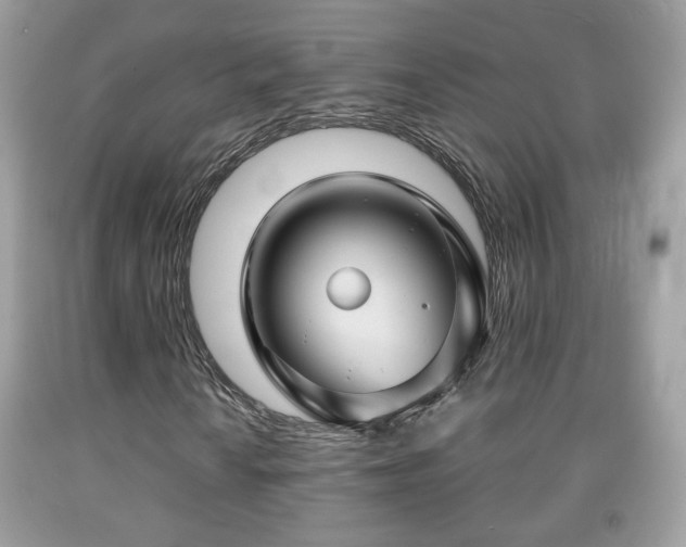 X0000091961010200709131222