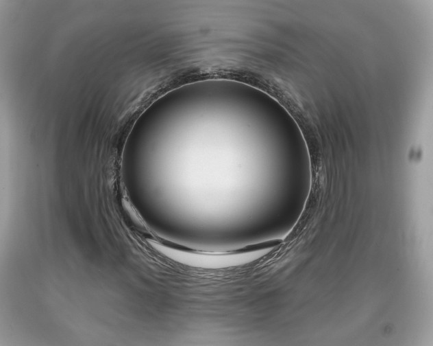 X0000091961012200709131222