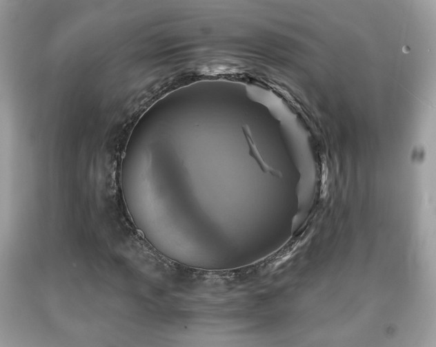 X0000091961013200709131222