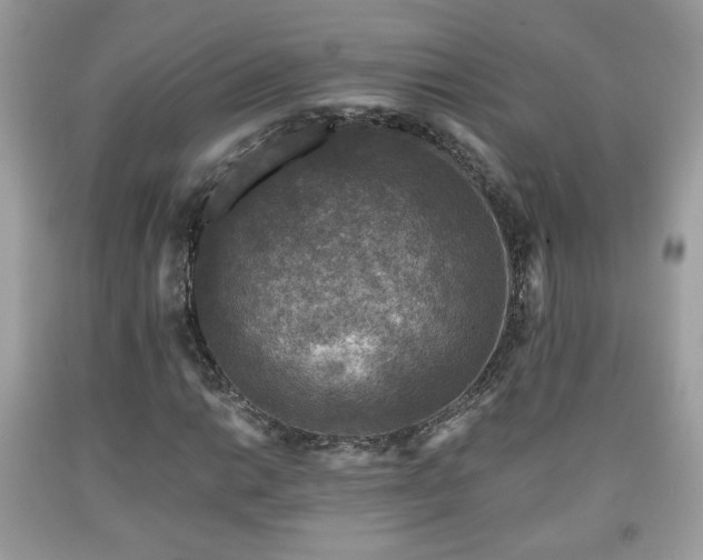 X0000091961014200709131222