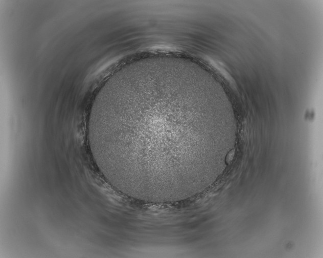 X0000091961015200709131222