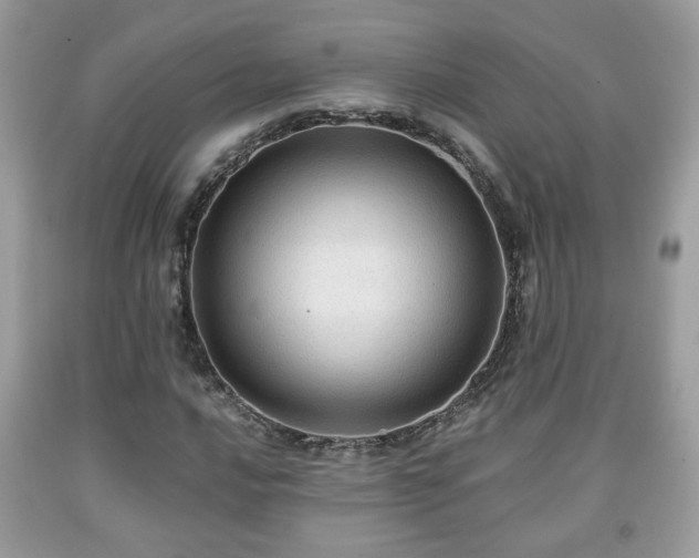 X0000091961016200709131222