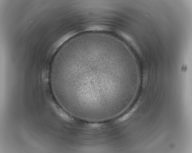 X0000091961017200709131222