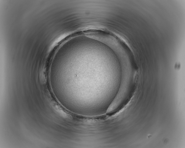 X0000091961018200709131222