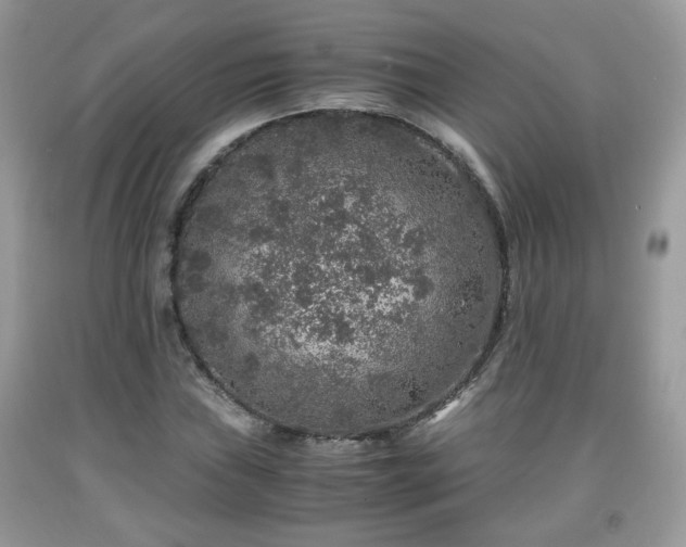 X0000091961019200709131222