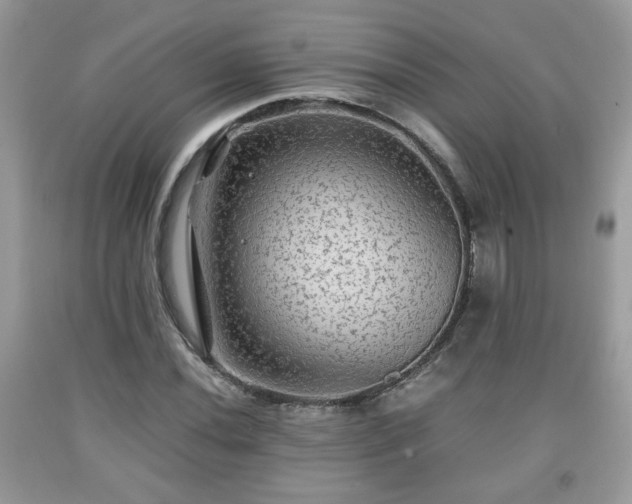 X0000091961020200709131222