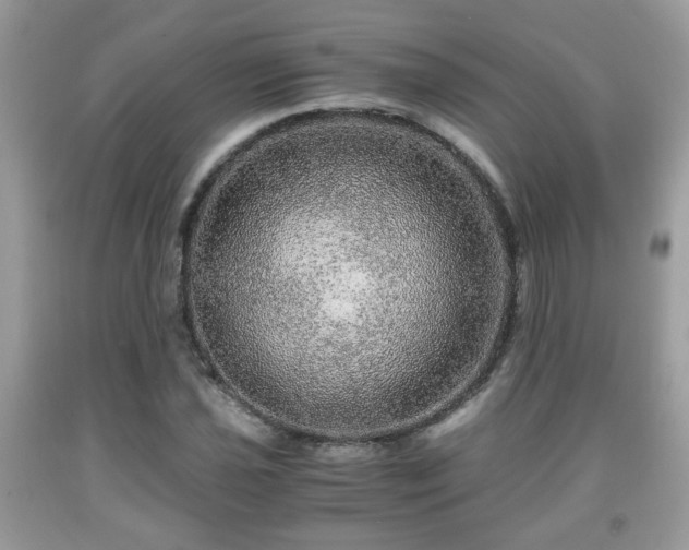 X0000091961021200709131222