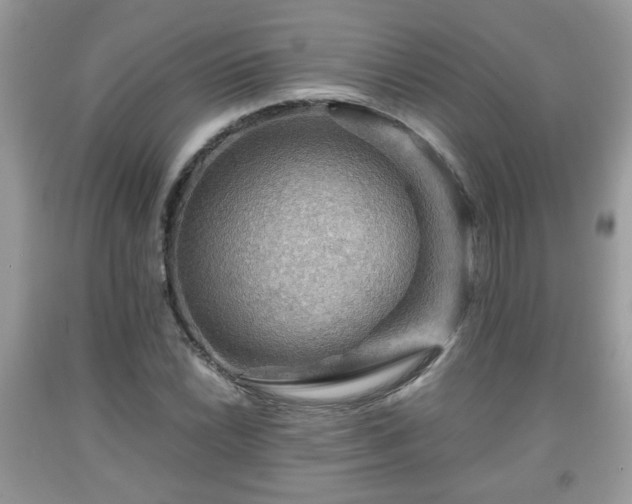 X0000091961022200709131222