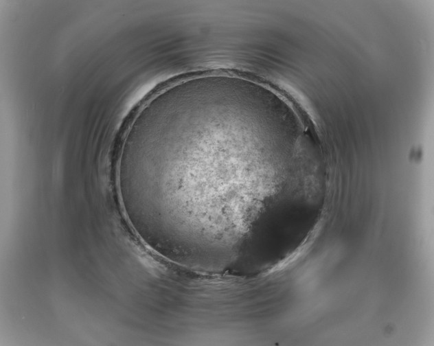 X0000091961023200709131222