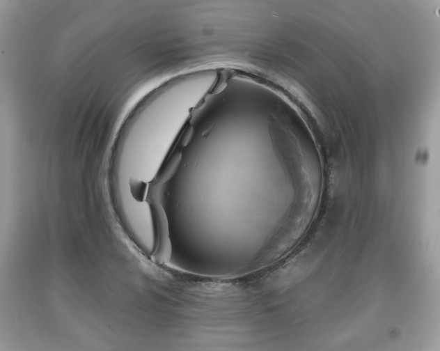 X0000091961024200709131222