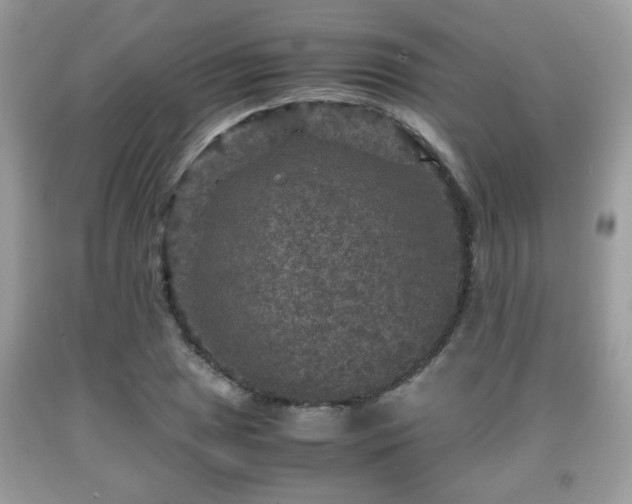 X0000091961025200709131222