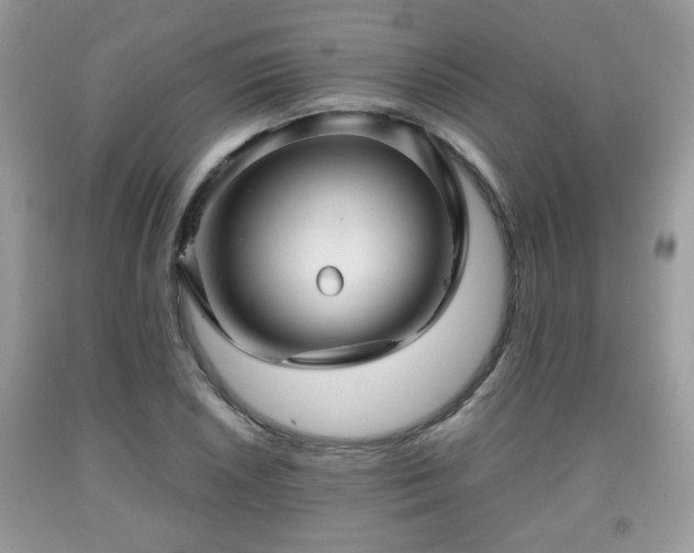 X0000091961026200709131222