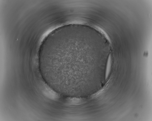 X0000091961027200709131222